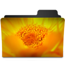 Flowers Yellow Icon 128x128 png